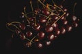 a handful of ripe cherries on a dark background. red cherry with petioles. the background image. an idea for a puzzle Royalty Free Stock Photo