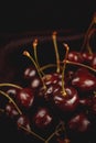 a handful of ripe cherries on a dark background. red cherry with petioles. the background image. an idea for a puzzle Royalty Free Stock Photo