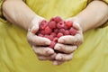 Handful of the ripe raspberry