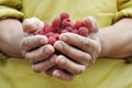 Handful of the ripe raspberry