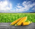 Handful of ripe yellow corn on wooden table Royalty Free Stock Photo