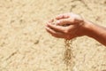 Handful of rough unmilled rice grains in human hands Royalty Free Stock Photo