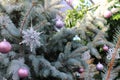 Sparkly Holiday tree decorations with silver snowflake