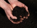 Handful of soil