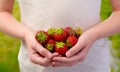 Handful of strawberries Royalty Free Stock Photo