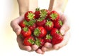 Handful of strawberries Royalty Free Stock Photo