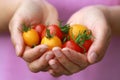 Handful tomatoes