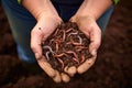 handful of worm castings, rich in nutrients for plants