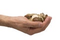 Handfuls of Turkish coins