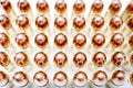 Handgun ammo rounds close up bronze on white Royalty Free Stock Photo