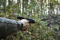 Handgun, Discharged Royalty Free Stock Photo