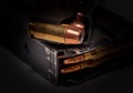 A handgun magazine loaded with .40 caliber hollow point bullets on top of a rifle magazine loaded with .223 caliber bullets Royalty Free Stock Photo