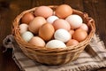 handheld basket with freshly collected farm eggs