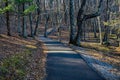 A Handicap Accessible Walking Trail Royalty Free Stock Photo