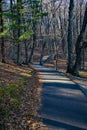 A Handicap Accessible Walking Trail Royalty Free Stock Photo