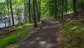 A Handicap Accessible Walking Trail at the Peaks of Otter Royalty Free Stock Photo