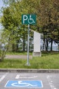 A handicap sign painted on asphalt road and a pole near the park indicating a parking space. Royalty Free Stock Photo