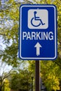 Handicaped Royalty Free Stock Photo