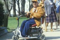 Handicapped, challenged man smiling at camera, Washington, D.C. Royalty Free Stock Photo