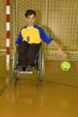 Handicapped person sport in the wheelchair