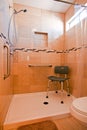 Handicapped shower stall Royalty Free Stock Photo