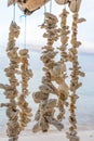 Handicraft made of sea corals and shells