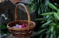 Handkerchief and hand towel in wood basket