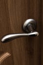 Handle in the door, metal handle in the wooden door