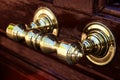 Handle of the main entrance of an old house Royalty Free Stock Photo