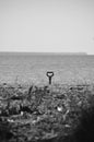 Forgotten shovel on the river bank. monochrome metaphor