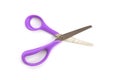 Handled scissors isolated