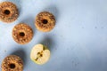 Handmade apple cider doughnuts with copy space Royalty Free Stock Photo