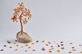 Handmade bead wire bonsai tree Royalty Free Stock Photo