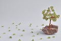 Handmade bead wire bonsai tree Royalty Free Stock Photo