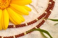 Handmade beadwork, beading as a hobby. Decorations made with your own hands on the background of various flowers