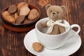 Handmade Bear Soft Toy In Cup. Traditional Teddy Royalty Free Stock Photo