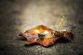 Handmade bee acorn table autumn leaf Royalty Free Stock Photo