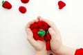 Handmade berries for toy kitchen. Royalty Free Stock Photo