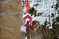 Handmade bird feeder hanging on a birch tree on a winter day. Preparing for winter. Royalty Free Stock Photo