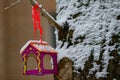 Handmade bird feeder hanging on a birch tree on a winter day. Preparing for winter. Royalty Free Stock Photo