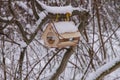 handmade bird feeder hanging Royalty Free Stock Photo