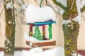 handmade bird feeder in winter outdoors Royalty Free Stock Photo