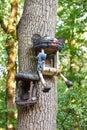 Handmade bird house. Birdhouse on tree in forest. Protection of forest birds. Royalty Free Stock Photo