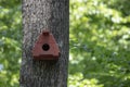 Handmade bird house hanging on the tree on the right side of the photo Royalty Free Stock Photo