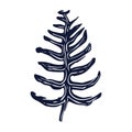 Handmade blockprint fern leaf vector motif clipart in folkart scandi style. Simple monochrome linocut plant shapes with