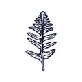 Handmade blockprint fern leaf vector motif clipart in folkart scandi style. Simple monochrome linocut plant shapes with