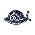 Handmade blockprint snail vector motif clipart in folkart scandi style. Simple monochrome linocut mollusc shapes with