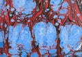 Handmade blue heap ,red marble background,design