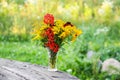 Handmade bouquet of wildflowers. Rowan berries on branch, goldenrog plant and tansy flowers. Floral composition in transparent