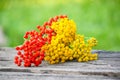 Handmade bouquet of wildflowers. Rowan berries on branch and tansy flowers